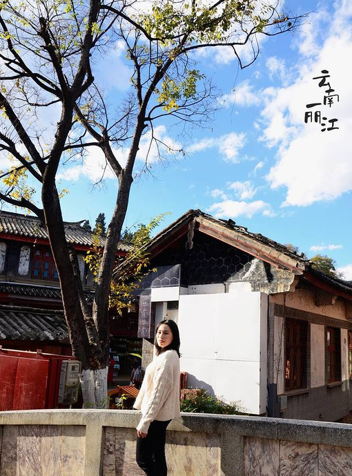 去一趟云南丽江旅游得多少钱【从昆明去丽江旅游大概要多少钱一个人】