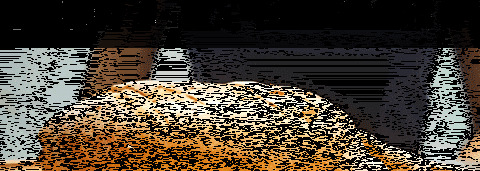 喜茶必点的是哪个面包【喜茶必点是哪款】