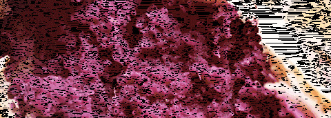 喜茶必点的是哪个面包【喜茶必点是哪款】