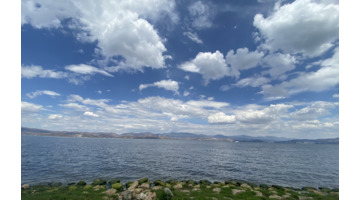 要了我半条命的那个人的句子【要了我半条命的语录】