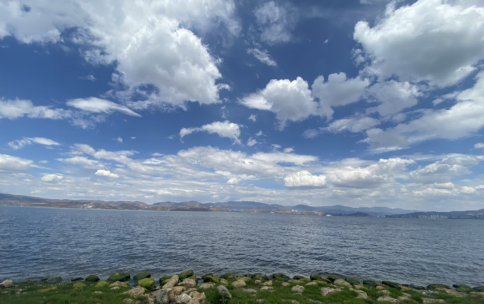 要了我半条命的那个人的句子【要了我半条命的语录】