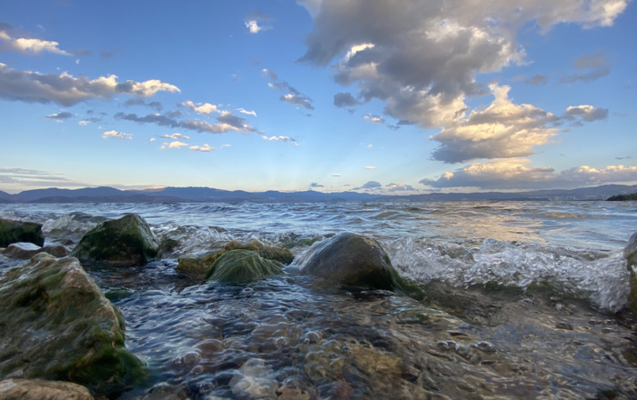 要了我半条命的那个人的句子【要了我半条命的语录】