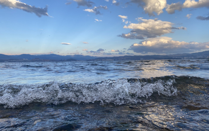 要了我半条命的那个人的句子【要了我半条命的语录】