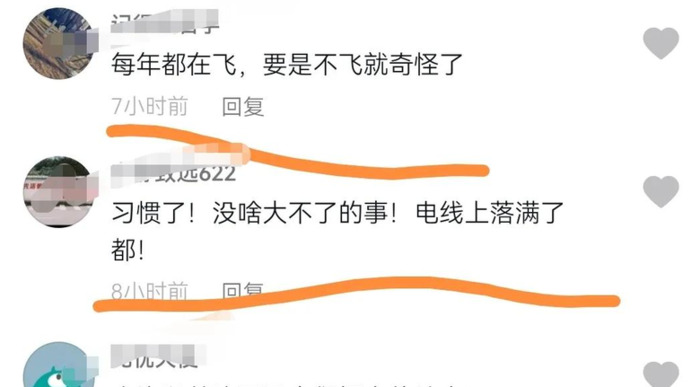 早上乌鸦成群满天飞预兆【满天飞乌鸦是什么预兆】