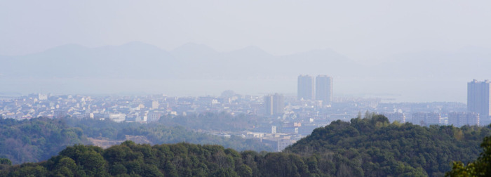 早上乌鸦成群满天飞预兆【满天飞乌鸦是什么预兆】