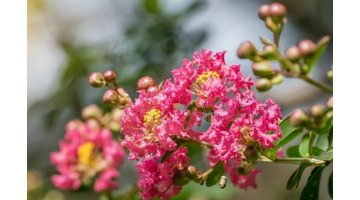 想念某人的句子发朋友圈【发朋友圈想让某个人看的句子】