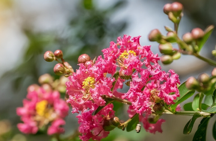 想念某人的句子发朋友圈【发朋友圈想让某个人看的句子】