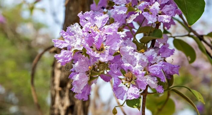 想念某人的句子发朋友圈【发朋友圈想让某个人看的句子】