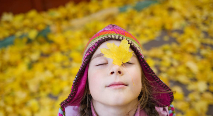 干净整洁的环境的句子作文【干净整洁的环境的句子简短】