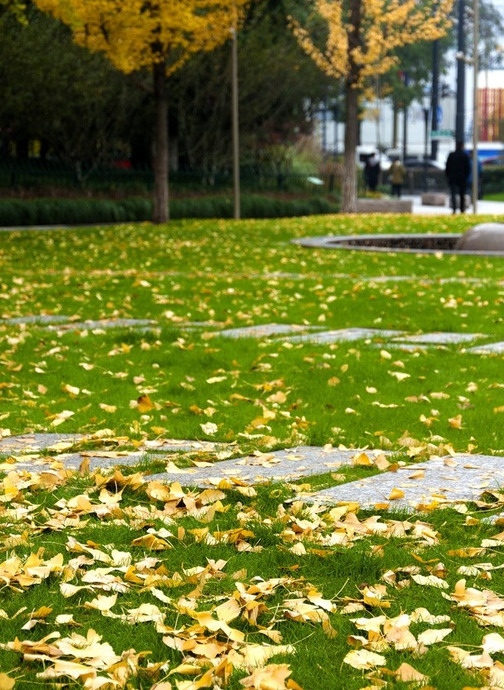 一夜入秋的句子【一夜之间入秋】