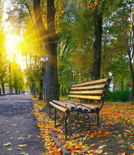 一夜入秋的句子【一夜之间入秋】