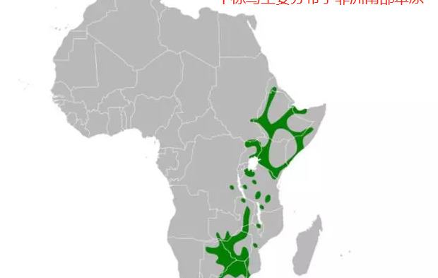 原始合作和互利共生的曲线图【原始合作的概念】
