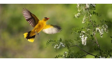 赞美勤俭持家的女人的句子【勤劳持家的女人语录】