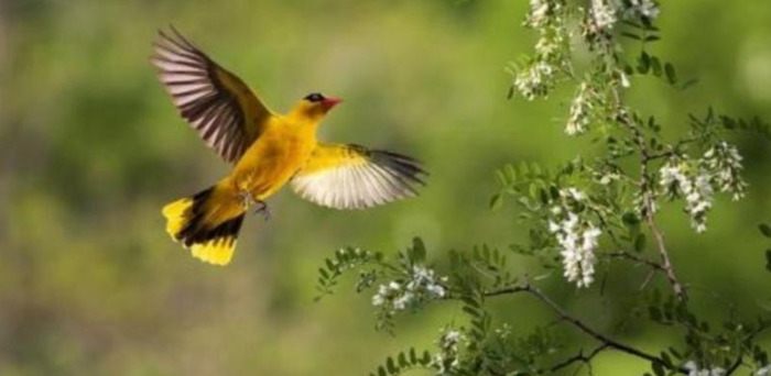 赞美勤俭持家的女人的句子【勤劳持家的女人语录】