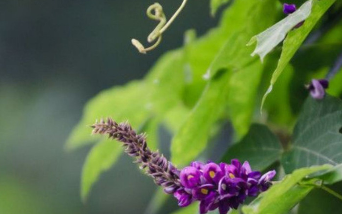 赞美勤俭持家的女人的句子【勤劳持家的女人语录】