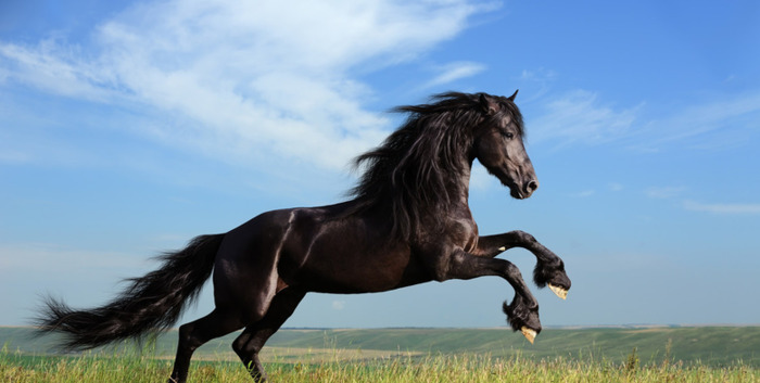 都说地包天的人有福【俗话说地包天是什么意思】