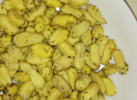 杨拉罐的药用价值【杨拉罐有什么作用】