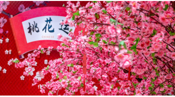 草莓晶越多越招桃花吗【草莓晶招桃花亲身经历】