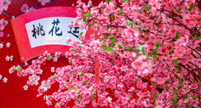 草莓晶越多越招桃花吗【草莓晶招桃花亲身经历】