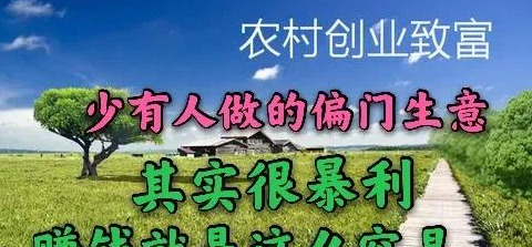 捞偏门挣快钱【捞偏门冷门赚钱生意】