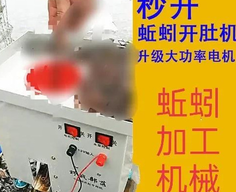 捞偏门挣快钱【捞偏门冷门赚钱生意】