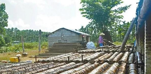 捞偏门挣快钱【捞偏门冷门赚钱生意】