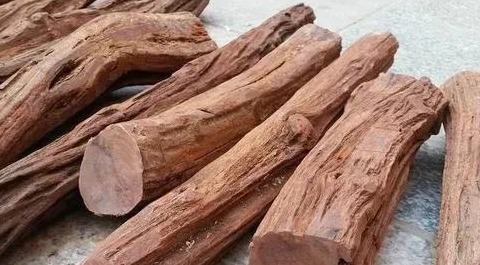 捞偏门挣快钱【捞偏门冷门赚钱生意】