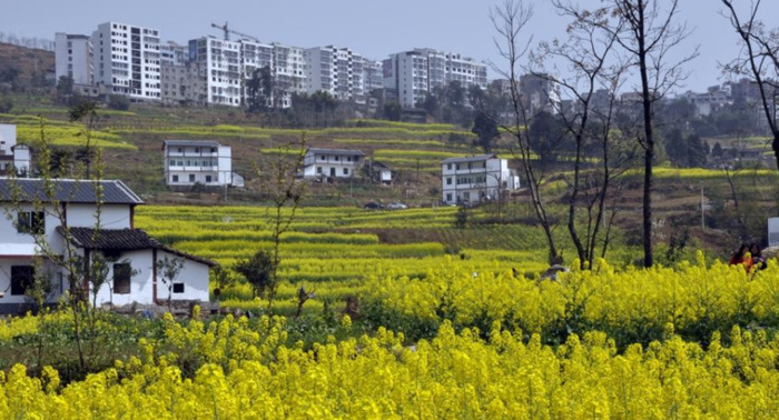 只要一部手机月入过万【一部手机怎么能月入过万】