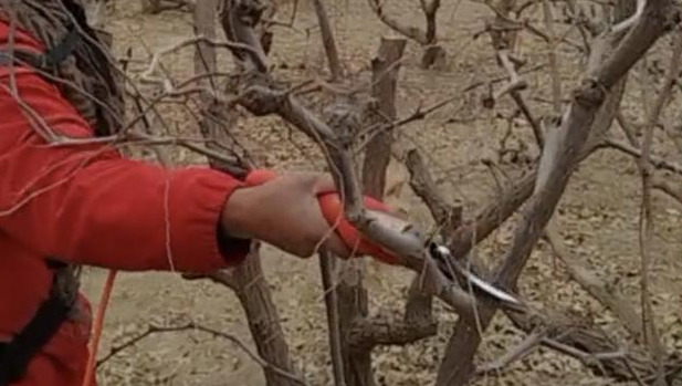 只要一部手机月入过万【一部手机怎么能月入过万】