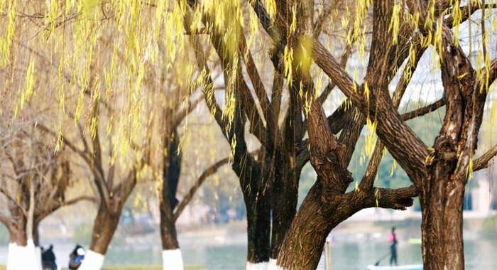 hnd是什么专业【hnd对接的大学有哪些】