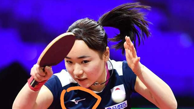 鸿星尔克商标的含义【红星鸿星尔克商标】