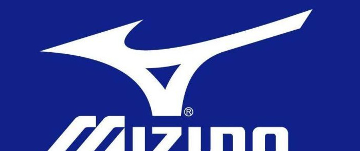 鸿星尔克商标的含义【红星鸿星尔克商标】