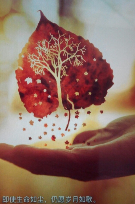 怀念青春的句子简短【回忆青春的唯美句子简短】