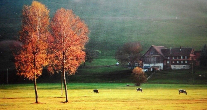 怀念青春的句子简短【回忆青春的唯美句子简短】