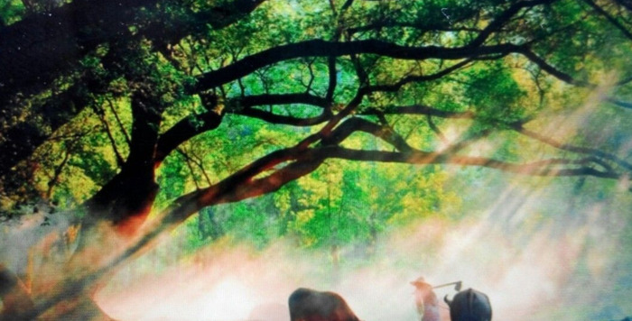 怀念青春的句子简短【回忆青春的唯美句子简短】