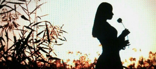 怀念青春的句子简短【回忆青春的唯美句子简短】