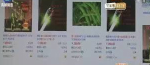 以下哪件商品不能在淘宝上发布?【以下哪种商品禁止在淘宝网上出售?】