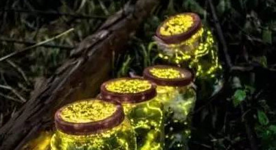 以下哪件商品不能在淘宝上发布?【以下哪种商品禁止在淘宝网上出售?】