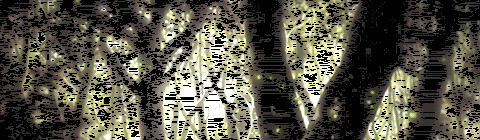 以下哪件商品不能在淘宝上发布?【以下哪种商品禁止在淘宝网上出售?】