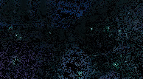 以下哪件商品不能在淘宝上发布?【以下哪种商品禁止在淘宝网上出售?】