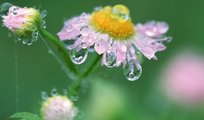 学校对学生评语怎么写【如何写学校评语】