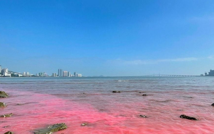 双氧水生产厂家【双氧水厂家】