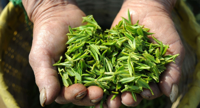 茶叶商品规格怎么填写【网店商品规格怎么填写】