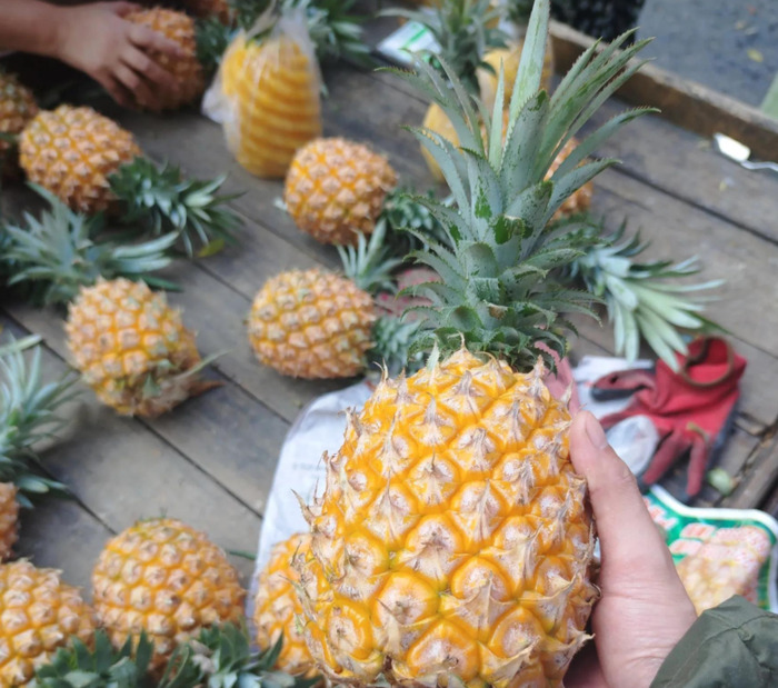 送外卖多少钱一单【外卖兼职一单多少钱】