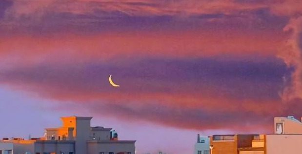 岁末年初的感慨【岁末年初的人生感悟】