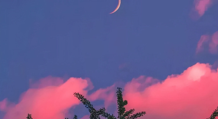 岁末年初的感慨【岁末年初的人生感悟】