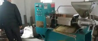 开榨油坊赚钱吗【开榨油坊多大利润】