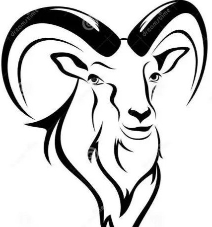 体育青年教师成长心得感悟【高校青年教师成长心得感悟】