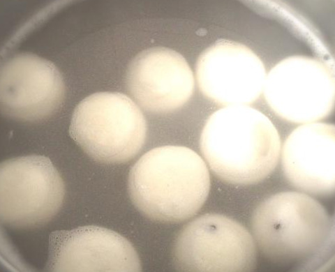 饺子和汤圆能一起煮么【饺子和汤圆一起煮先放哪个】