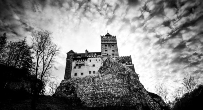 御兽小说【不科学御兽小说】